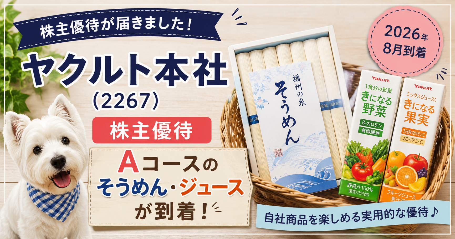 ヤクルト本社（2267）の株主優待で届いたAコースのそうめんとジュース