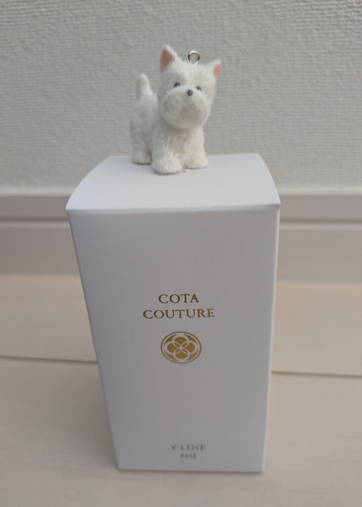 コタクチュール ベース Yラインのトリートメント