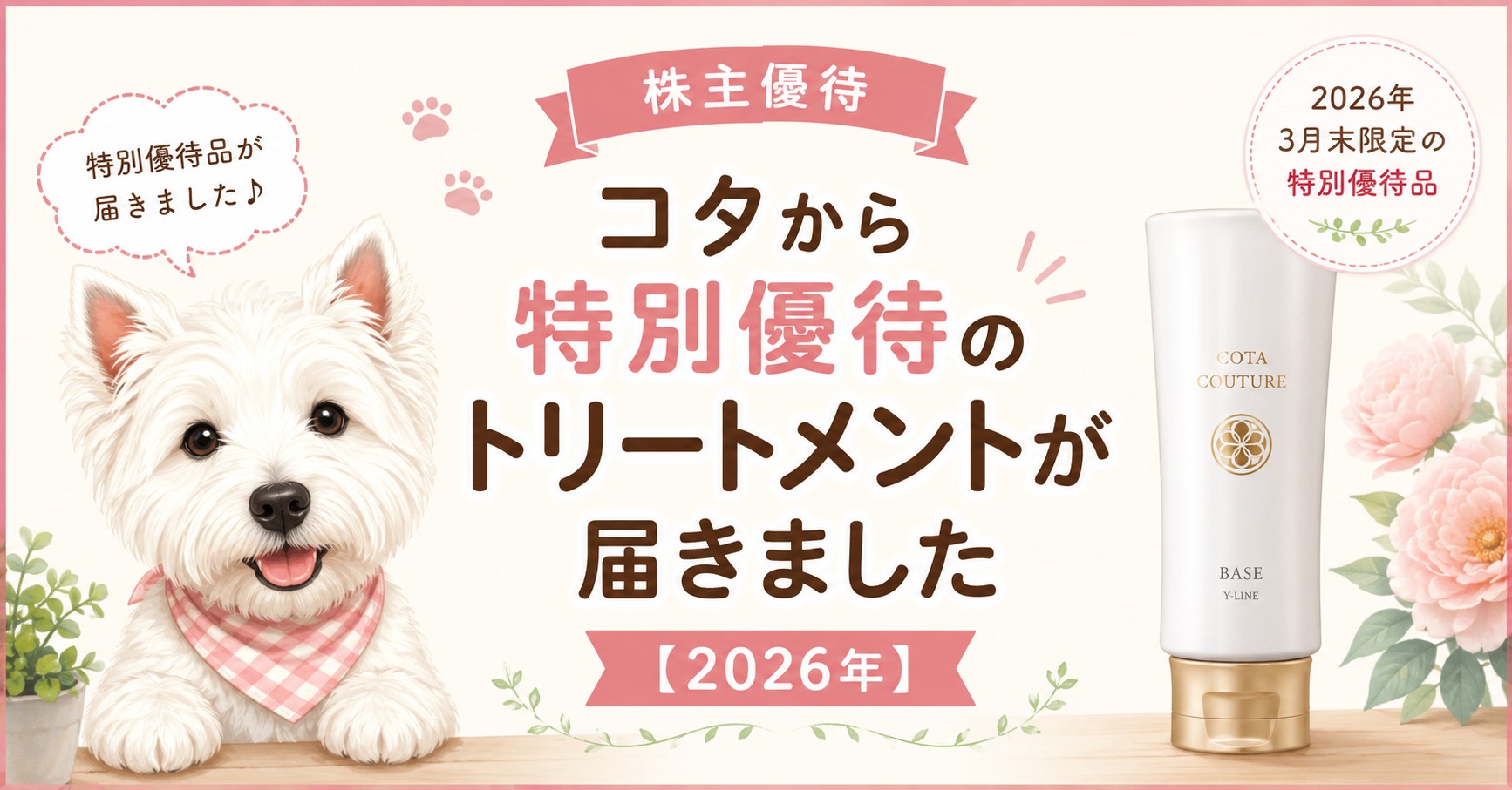 コタの特別優待品「コタクチュール ベース Yライン」とウエスティ