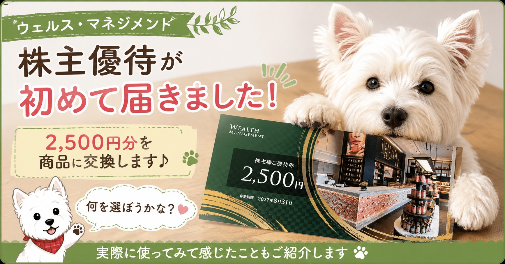 ウェルス・マネジメント（3772）の株主優待が初めて届いたアイキャッチ画像